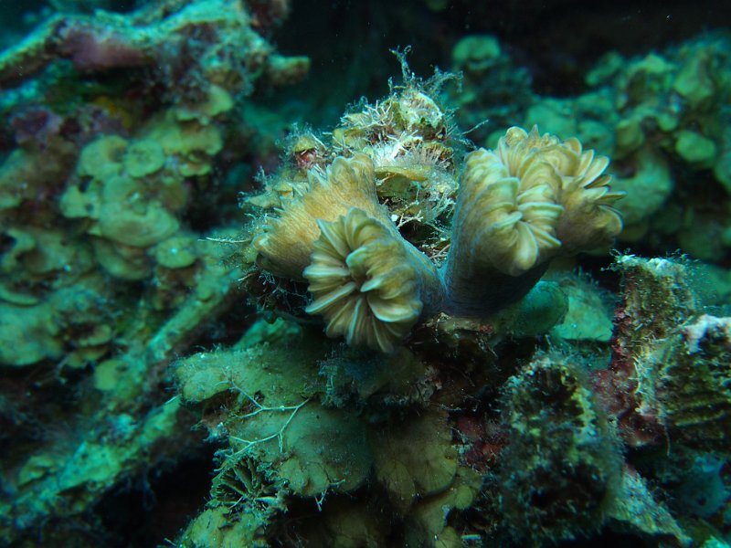 Curacao 04-12 174.JPG